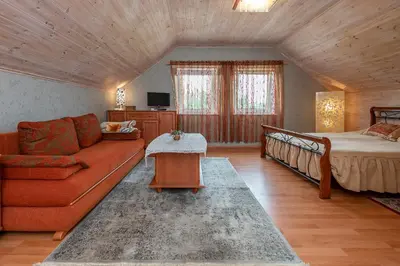 a living room with a couch and a bed at Vila Terra Resort in Girsteitiškis