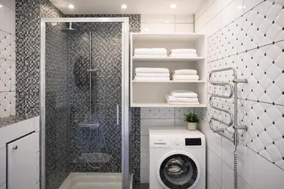 a bathroom with a shower and a washing machine at Ąžuolo apartamentai in Birštonas