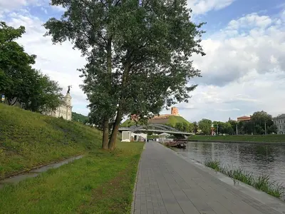 a tree next to a walkway next to a river at Vilnius apartment with stained glass in Vilnius