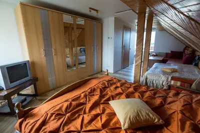a bedroom with a large bed and a television at Svečiuose pas Aldoną in Druskininkai