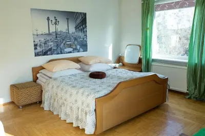 a bedroom with a bed with a cat sitting on it at Svečiuose pas Aldoną in Druskininkai