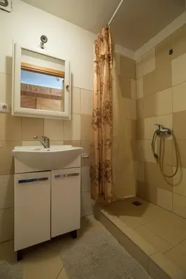 a bathroom with a sink and a shower at Svečiuose pas Aldoną in Druskininkai