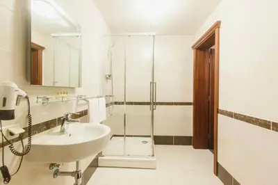 a bathroom with a sink and a shower at Sodeliškių dvaro sodyba in Sodeliškiai