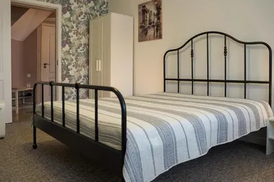 a bedroom with a black metal bed in a room at Apartamentai Birštono centre su židiniu in Birštonas
