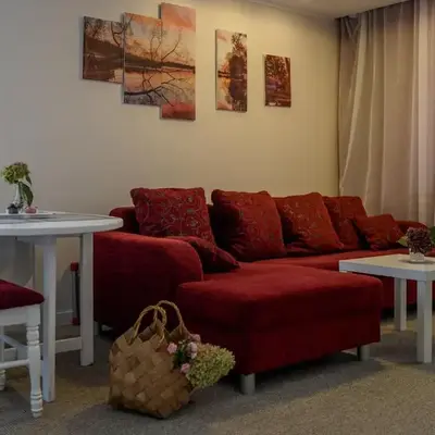 Apartamentai Birštono centre su židiniu