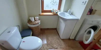 a bathroom with a white toilet and a sink at Senamiesčio APARTAMENTAI in Panevėžys