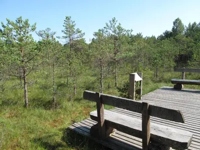 a wooden bench sitting on top of a wooden boardwalk at Villa Sofia Boutique Trakai in Trakai