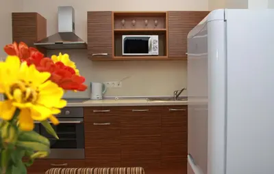 a kitchen with a white refrigerator and a microwave at Litrada Apartments in Šiauliai