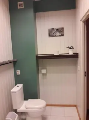a bathroom with a toilet and a plant on a shelf at Aleks in Zarasai