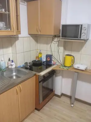 a small kitchen with a sink and a microwave at Aleks in Zarasai