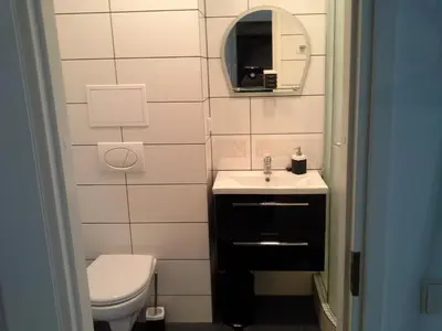 a bathroom with a toilet and a sink and a mirror at Lima Studio in Druskininkai