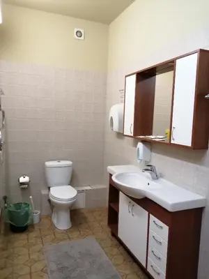 a bathroom with a toilet and a sink and a mirror at Idilė Bed & Breakfast - Visaginas in Visaginas