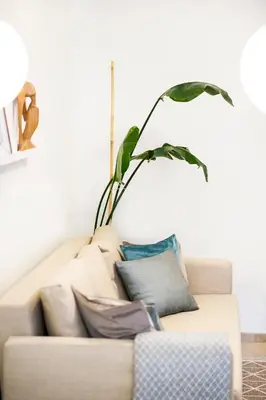 a plant sitting on top of a couch with pillows at Stay in Kaunas - Free Parking in Kaunas