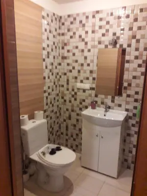 a bathroom with a toilet and a sink at Laisves al. 7 in Kaunas