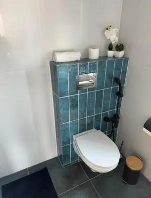 a bathroom with a toilet with a blue tiled wall at Simona House in Šiauliai