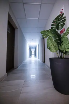 a plant in a pot in an empty hallway at Dzūkija Hotel in Alytus