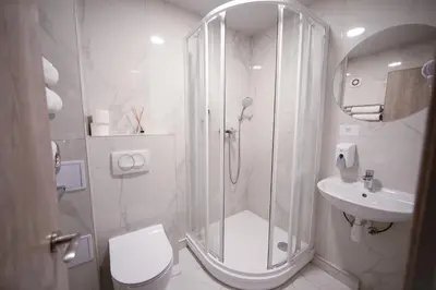 a bathroom with a shower and a toilet and a sink at Dzūkija Hotel in Alytus