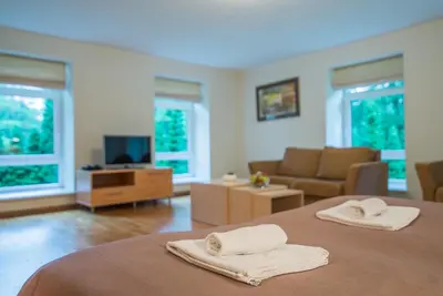 a bedroom with a bed and a living room at Guest House Milda in Druskininkai