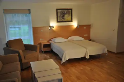 a hotel room with a bed and a chair at Guest House Milda in Druskininkai