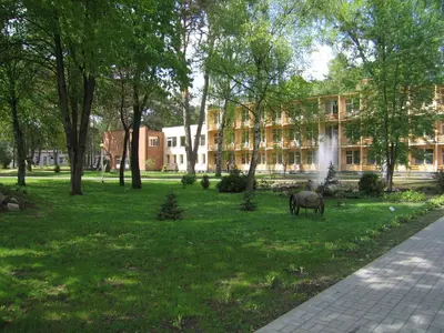 a horse grazing in the grass in front of a building at Hotel Dainava in Druskininkai