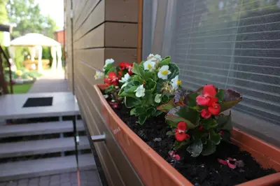 a window box with red and white flowers in it at Broliu Vila in Druskininkai