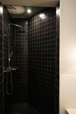 a bathroom with a black tiled shower with a shower head at Guest House Senasis Pastas in Druskininkai