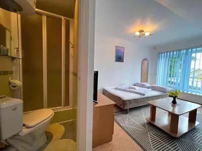 a bathroom with a bed and a toilet in a room at Nakvisa in Zarasai
