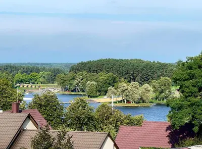 a view of a river with houses and trees at Nakvisa in Zarasai