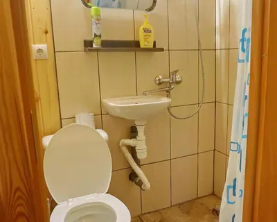 a bathroom with a toilet and a sink at Salako svečių namai in Salakas