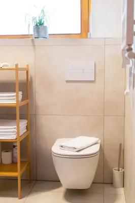 a bathroom with a white toilet and a shelf at Kaunas Old Town Apartment in Kaunas