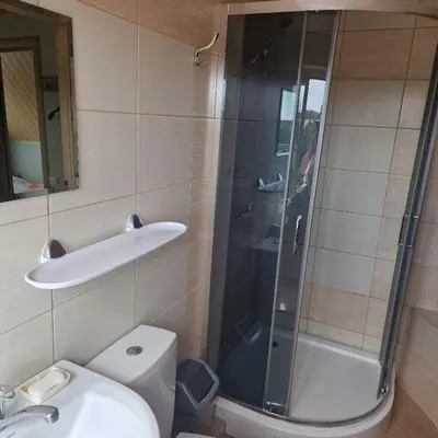 a bathroom with a shower and a sink and a toilet at Griežto 5 in Zarasai