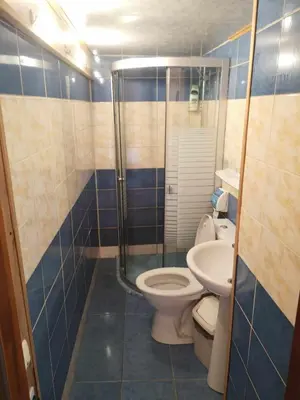 a bathroom with a toilet and a shower and a sink at Griežto 5 in Zarasai