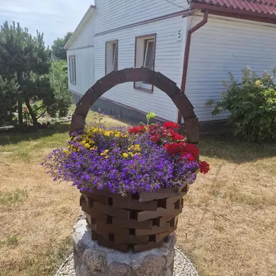 a basket of flowers in a yard next to a house at Griežto 5 in Zarasai