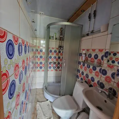 a bathroom with a shower and a toilet and a sink at Griežto 5 in Zarasai