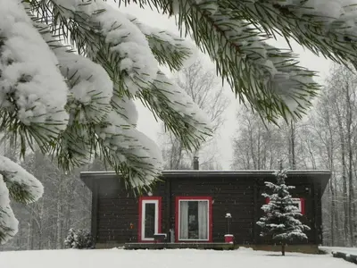 a cabin in the snow with a christmas tree at Aliai in Utena
