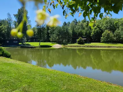 a pond in a park with green grass and trees at Aliai in Utena