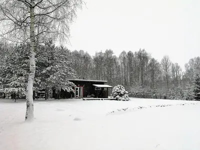 a cabin in a snow covered field with a tree at Aliai in Utena