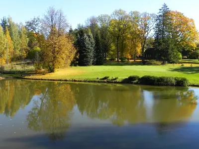 a view of a pond with trees in the background at Aliai in Utena