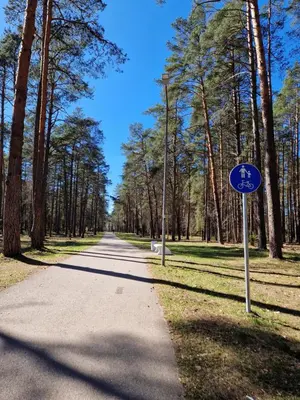 a road in a park with a blue sign on it at Apartamentai Renata in Druskininkai