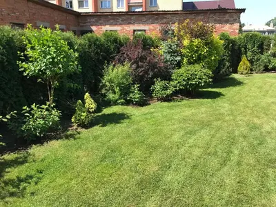 a garden with green grass and bushes at Arbatinės apartamentai in Biržai