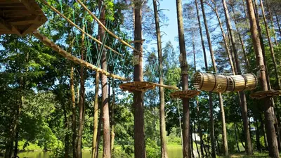 a rope park with trees in the background at Poilsis Pas Tada in Druskininkai