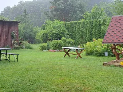 a picnic table in a yard with grass and trees at Poilsis Pas Tada in Druskininkai