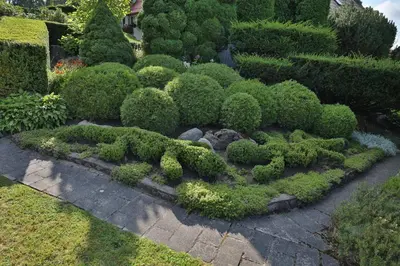 an ornamental garden with bushes and a path at Ašmonienės svečių namai 