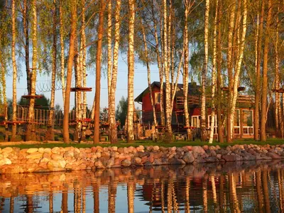 a house by the water with a group of trees at Senelio Romo Sodyba in Molėtai