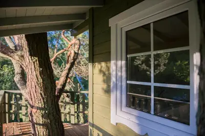 a window on the side of a house with a tree at Sodyba Namelis medyje Anykščiuose in Anykščiai
