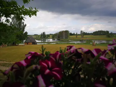 a view of a park with a pond and flowers at Sodyba Vieversynė in Duokiškis