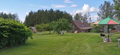 a yard with a house and a picnic table at Sodyba Vieversynė in Duokiškis