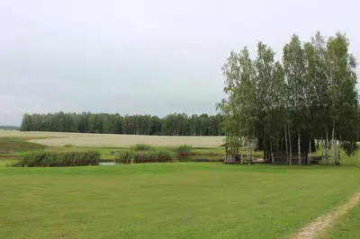 a large green field with a tree and a pond at Sodyba Vieversynė in Duokiškis