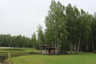 a gazebo in a field next to a lake at Sodyba Vieversynė in Duokiškis