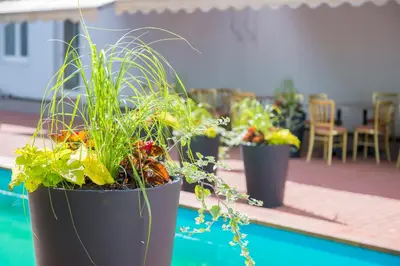 a group of potted plants sitting on a patio at Nykščio Namai & SPA in Anykščiai
